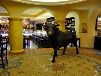 Foto: Tauro